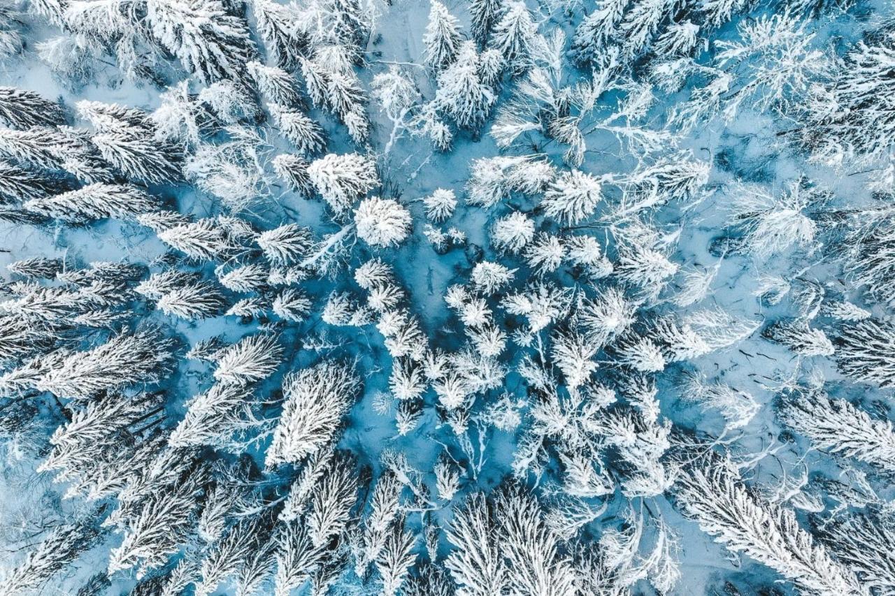 Chalet Azalee, Montriond, Morzine, Avoriaz Zewnętrze zdjęcie